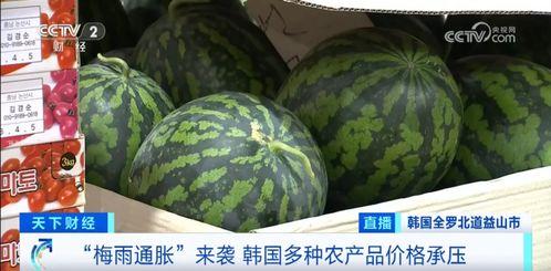 汾阳吃瓜最新事件爆料,揭秘背后惊人真相 第2张 汾阳吃瓜最新事件爆料,揭秘背后惊人真相 第2张